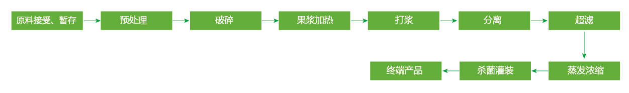 蓝莓、草莓、桑葚浓缩汁